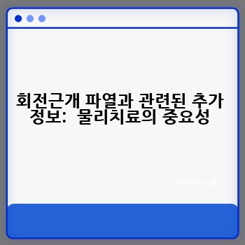 회전근개 파열과 관련된 추가 정보:  물리치료의 중요성