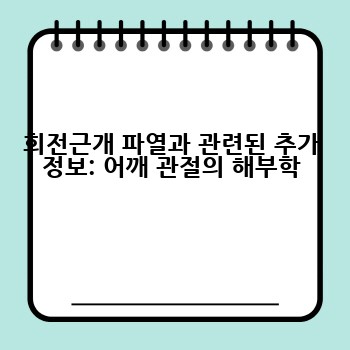 회전근개 파열과 관련된 추가 정보: 어깨 관절의 해부학