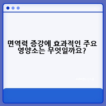 면역력 증강에 효과적인 주요 영양소는 무엇일까요?