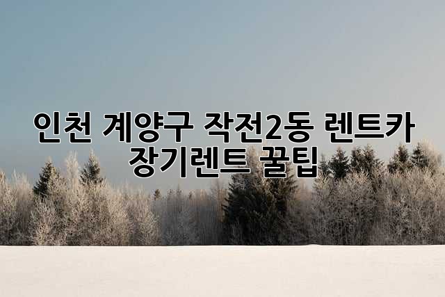 인천 계양구 작전2동 렌트카 장기렌트 꿀팁!