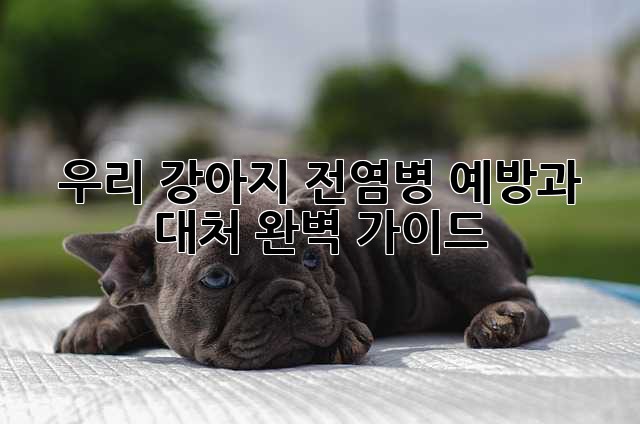 우리 강아지, 전염병 예방과 대처 완벽 가이드!