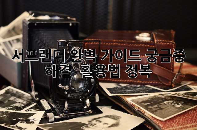 서프랜더 완벽 가이드: 궁금증 해결 & 활용법 정복!