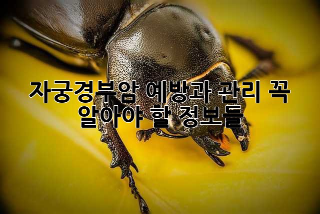 자궁경부암 예방과 관리: 꼭 알아야 할 정보들