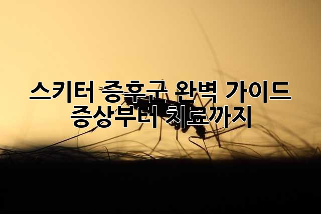 스키터 증후군 완벽 가이드: 증상부터 치료까지
