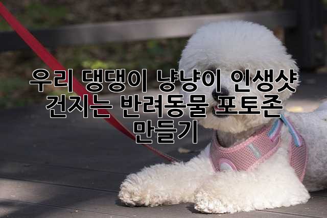 우리 댕댕이, 냥냥이 인생샷 건지는 반려동물 포토존 만들기!