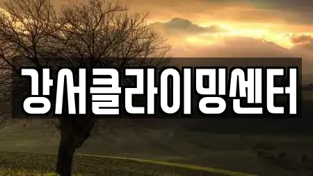 강서클라이밍센터