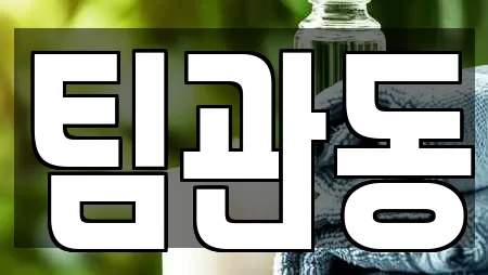 팀관동