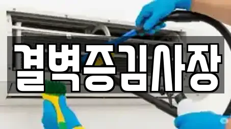 결벽증김사장