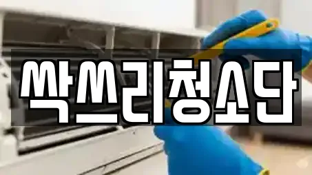 싹쓰리청소단