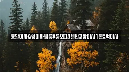용달이사소형이사원룸투룸오피스텔반포장이사1톤트럭이사