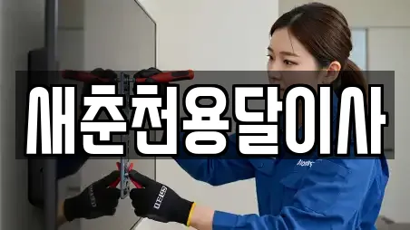 새춘천용달이사