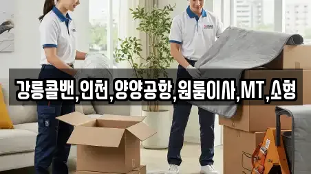 강릉콜밴,인천,양양공항,원룸이사,MT,소형