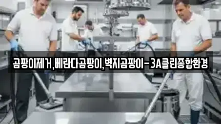 곰팡이제거,베란다곰팡이,벽지곰팡이-3A클린종합환경