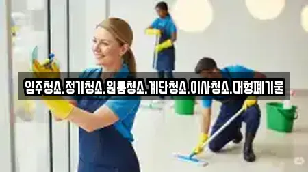 입주청소.정기청소.원룸청소.계단청소.이사청소.대형폐기물