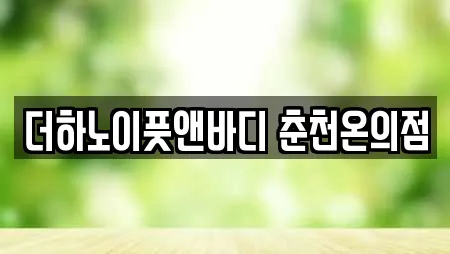 더하노이풋앤바디 춘천온의점
