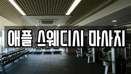 애플 스웨디시 마사지
