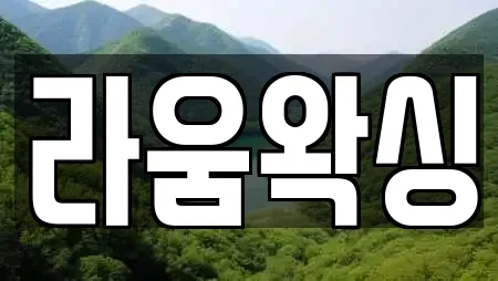 라움왁싱