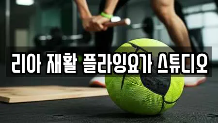리아 재활 플라잉요가 스튜디오