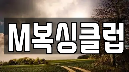 M복싱클럽