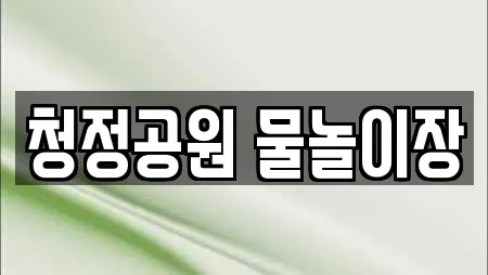 청정공원 물놀이장