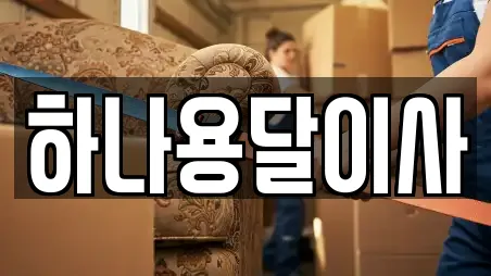 하나용달이사