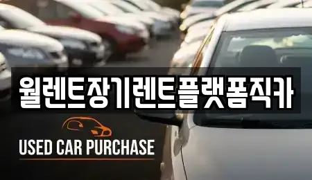 월렌트장기렌트플랫폼직카