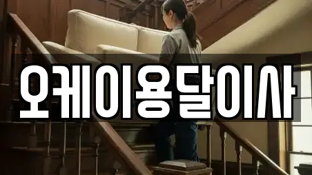 오케이용달이사