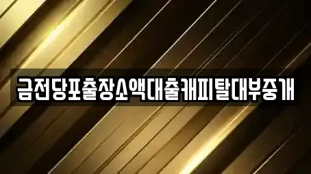 금전당포출장소액대출캐피탈대부중개