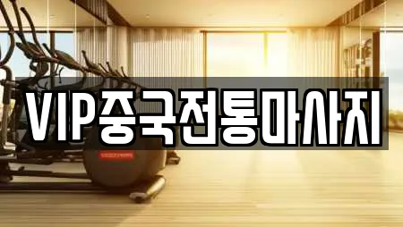 VIP중국전통마사지