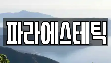 파라에스테틱