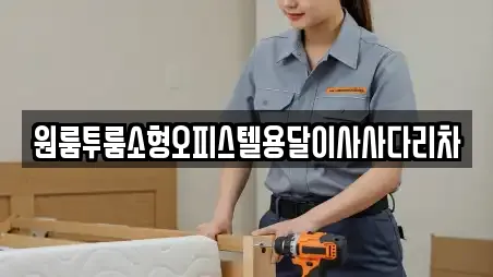 원룸투룸소형오피스텔용달이사사다리차