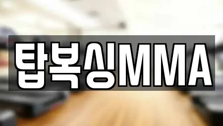 탑복싱MMA