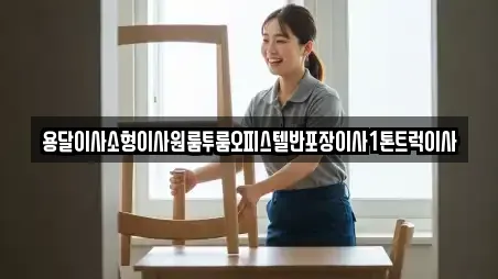용달이사소형이사원룸투룸오피스텔반포장이사1톤트럭이사