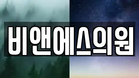 비앤에스의원