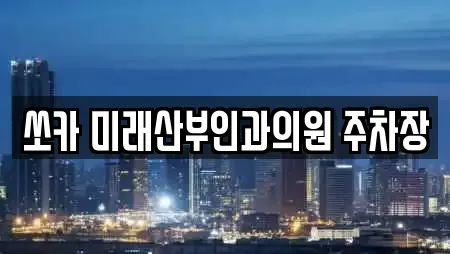 쏘카 미래산부인과의원 주차장
