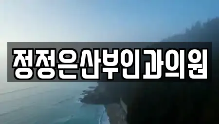정정은산부인과의원