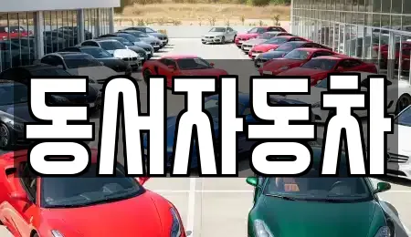 경북 경산시 삼남동 추천 장기렌트카,중고차,자동차전시장,렌트카 업체검색