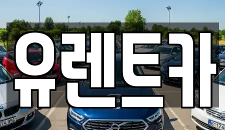 유렌트카