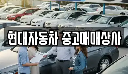 현대자동차 중고매매상사