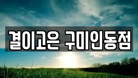 결이고은 구미인동점