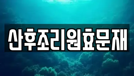 산후조리원효문재