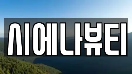 시에나뷰티