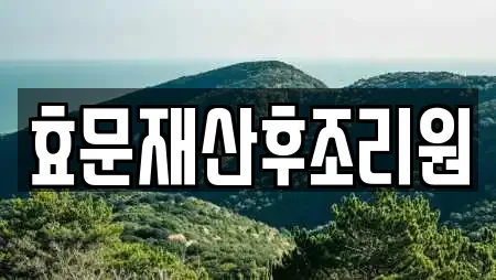 효문재산후조리원