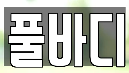 풀바디