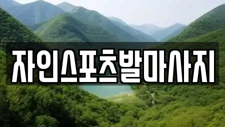 자인스포츠발마사지