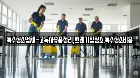 특수청소업체-고독사유품정리,쓰레기집청소,특수청소비용