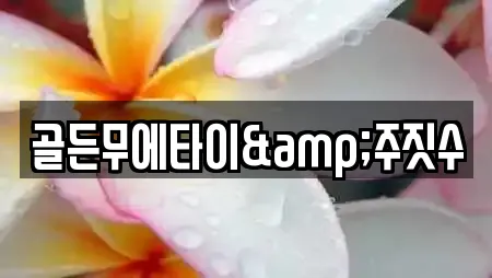 골든무에타이&주짓수