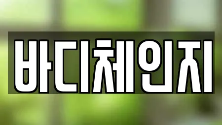 바디체인지