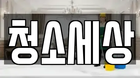 청소세상