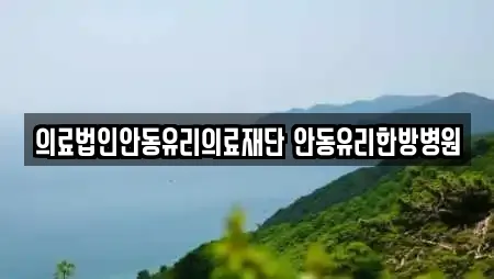경상북도 일직면 산부인과,피부과,에스테틱,산후조리원,한의원 2 위치